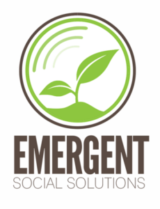 Emergent Social Solutions